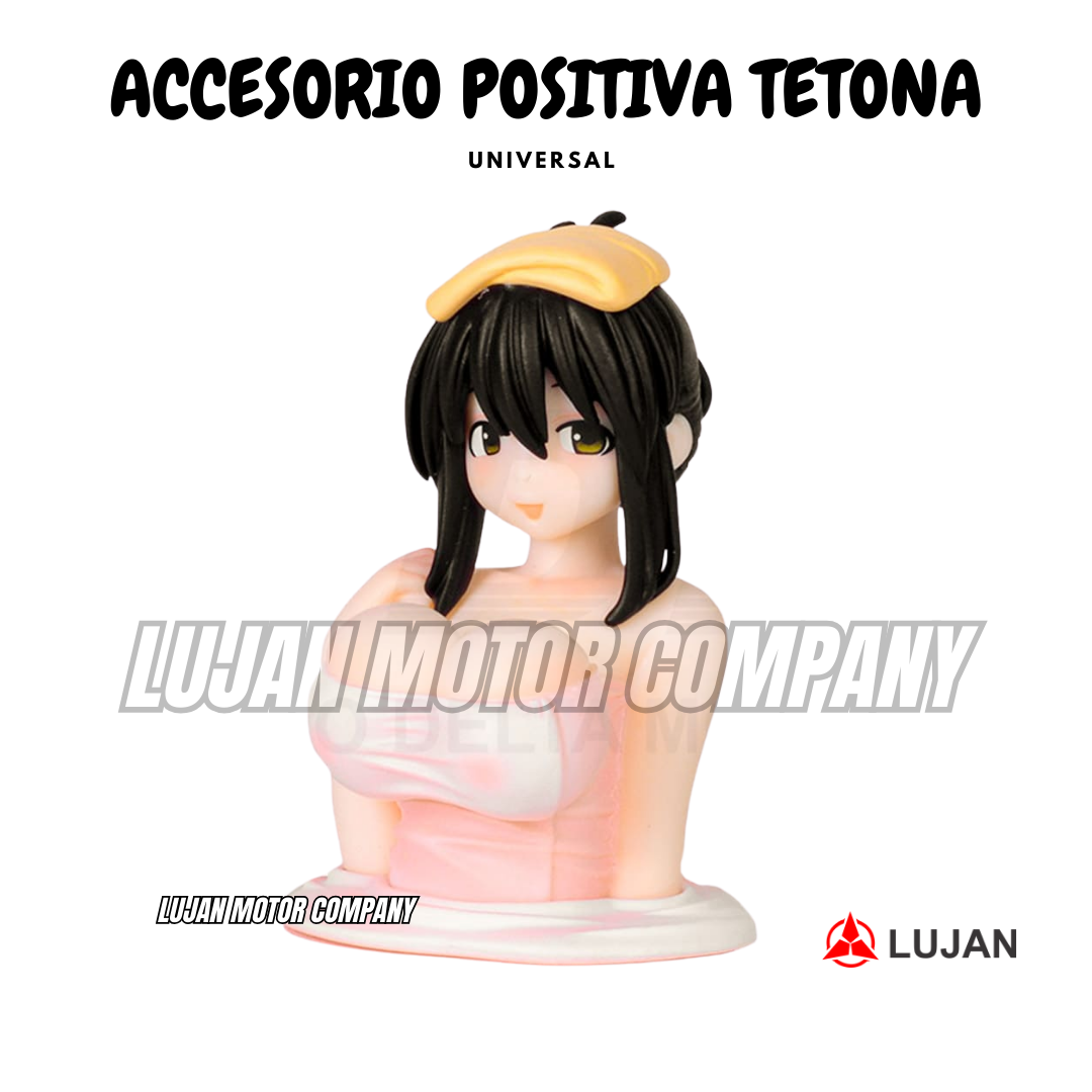 ACCESORIO POSITIVA HAIOSKY TETONA 